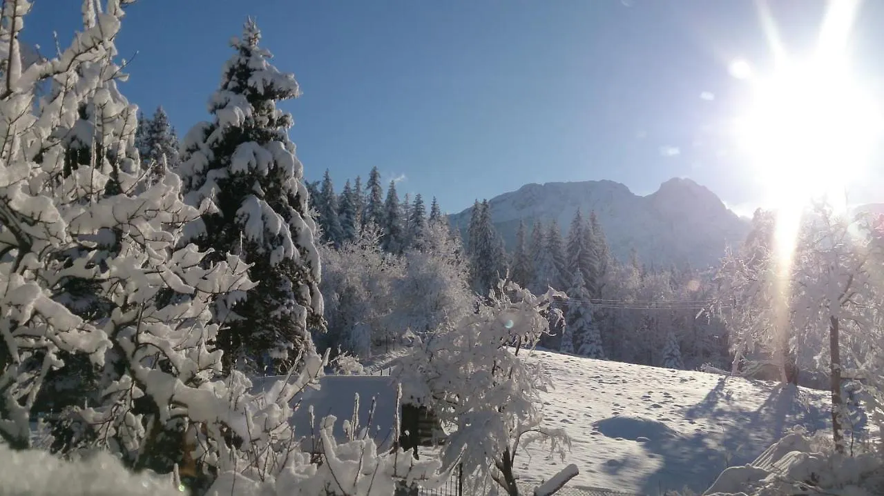 Tatrydom Apartament Loft Z Kominkiem Apartment Zakopane Poland